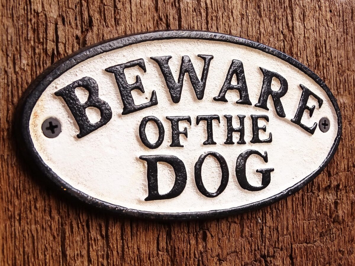 Ovales Schild aus Gusseisen - Beware of the Dog - Vintage Look